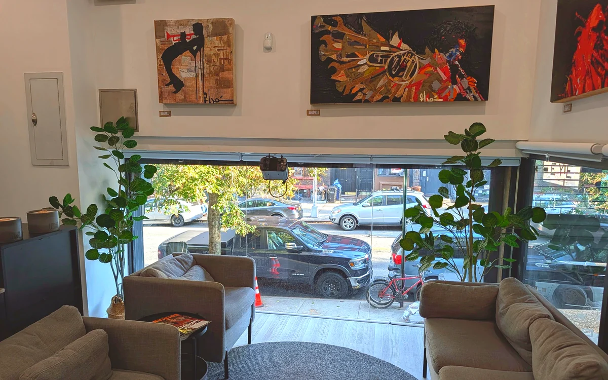 Waiting area at Park Slope Eye with cushioned seating, leafy plants, colorful artwork, and large street-facing windows